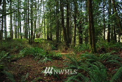 4 Howe Road Toledo, WA 98591 - Photo 1 of 1