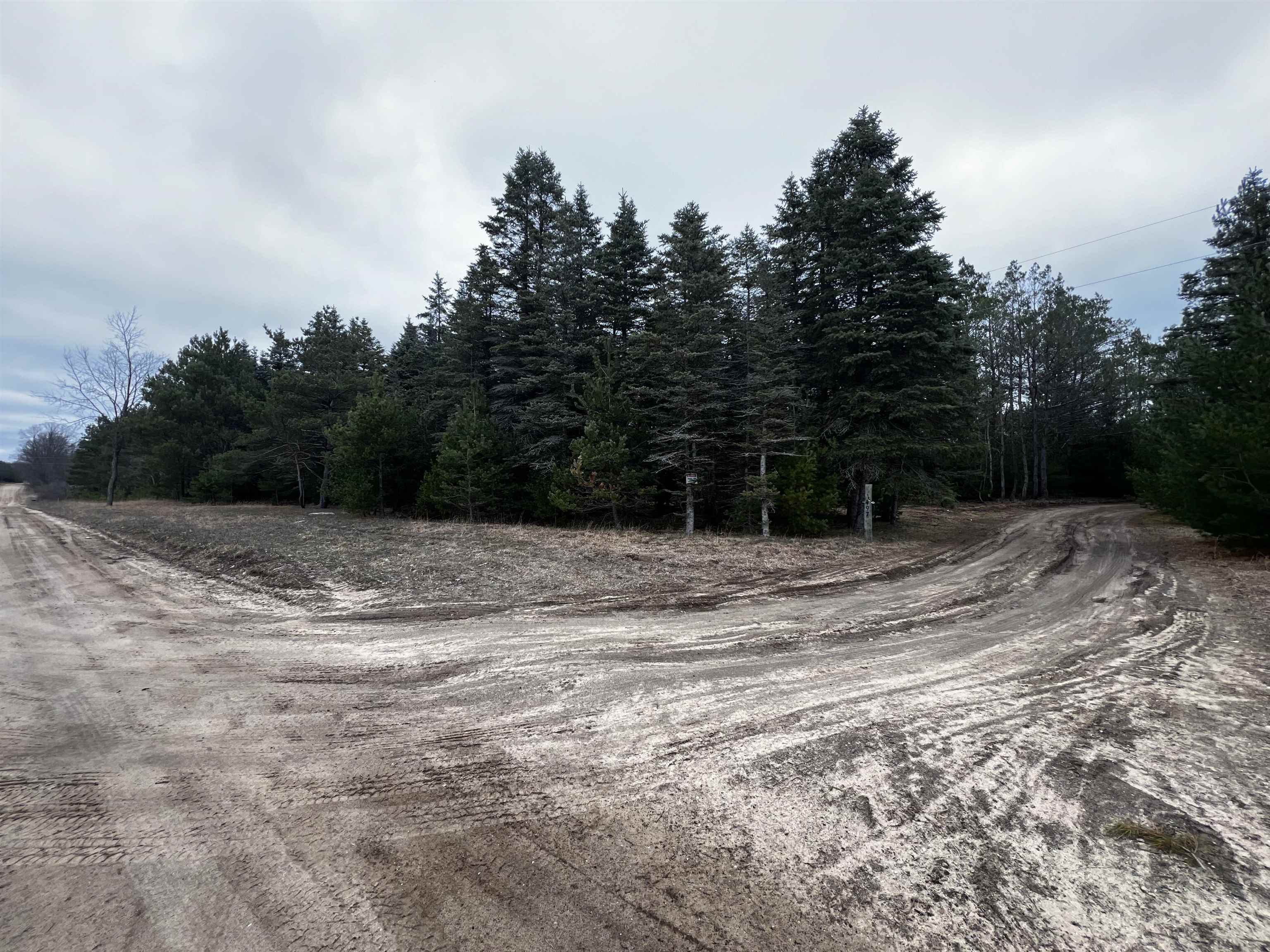 1497 Riley Road Southeast Kalkaska, MI 49646 - Photo 20 of 25