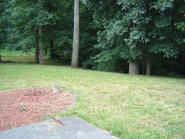 415 Scalybark Drive Blue Ridge, VA 24064 - Photo 3 of 12 Yard