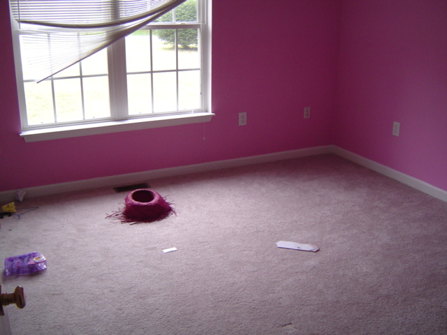 415 Scalybark Drive Blue Ridge, VA 24064 - Photo 10 of 12 Interior