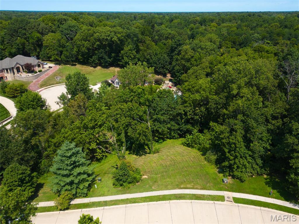 7447 Creek Ridge Lane Edwardsville, IL 62025 - Photo 7 of 11