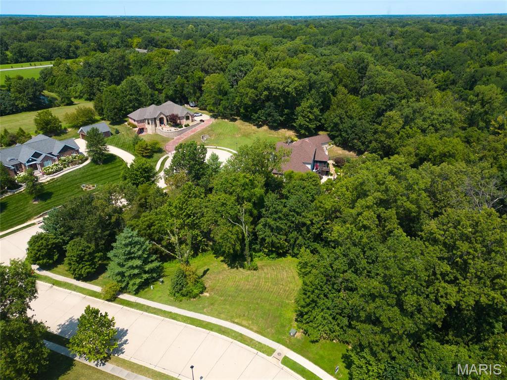 7447 Creek Ridge Lane Edwardsville, IL 62025 - Photo 9 of 11