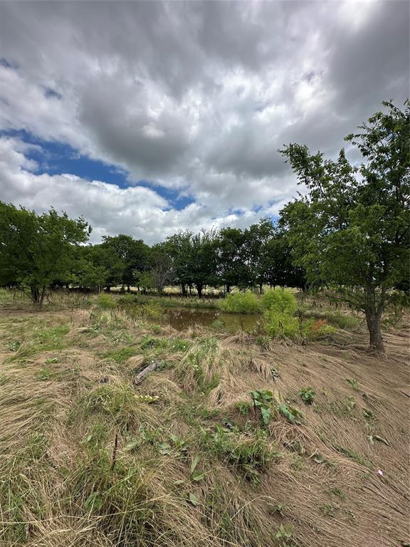 Tbd Krahl Road Valley View, TX 76272 - Photo 17 of 23 Creek