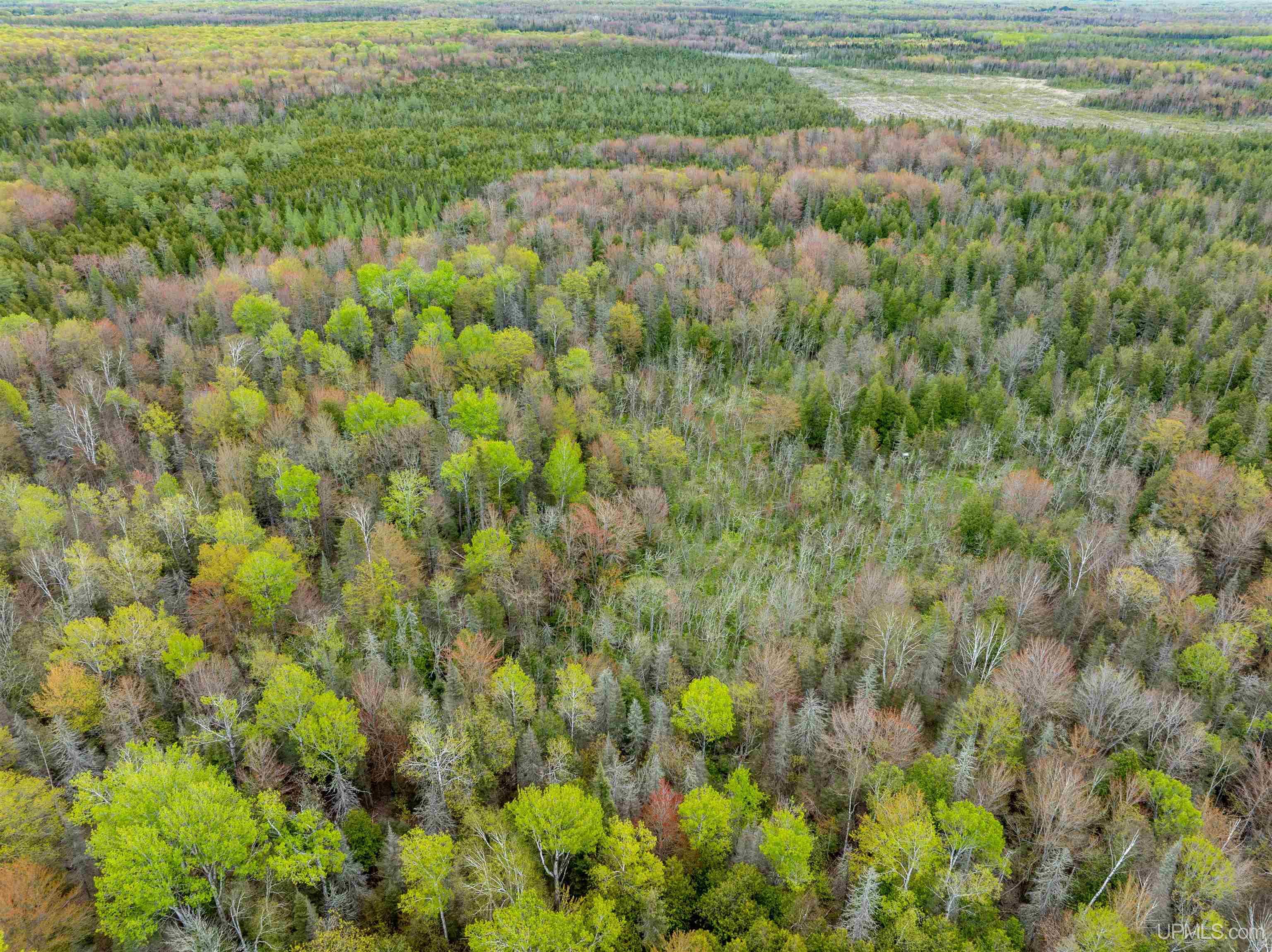 Tbd Et Road Trenary, MI 49891 - Photo 12 of 18 Gallery Image 12