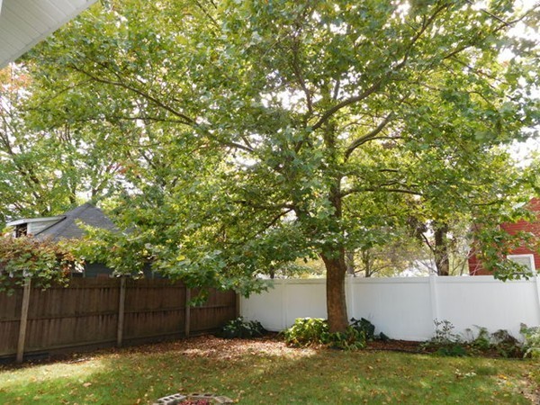 58 Lorimer Street Springfield, MA 01151 - Photo 7 of 26 Gallery Image 7