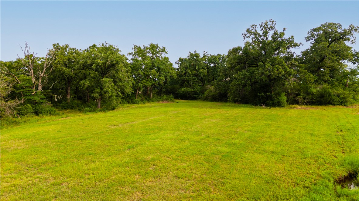 6922 McCrae Lane Bryan, TX 77808 - Photo 6 of 20