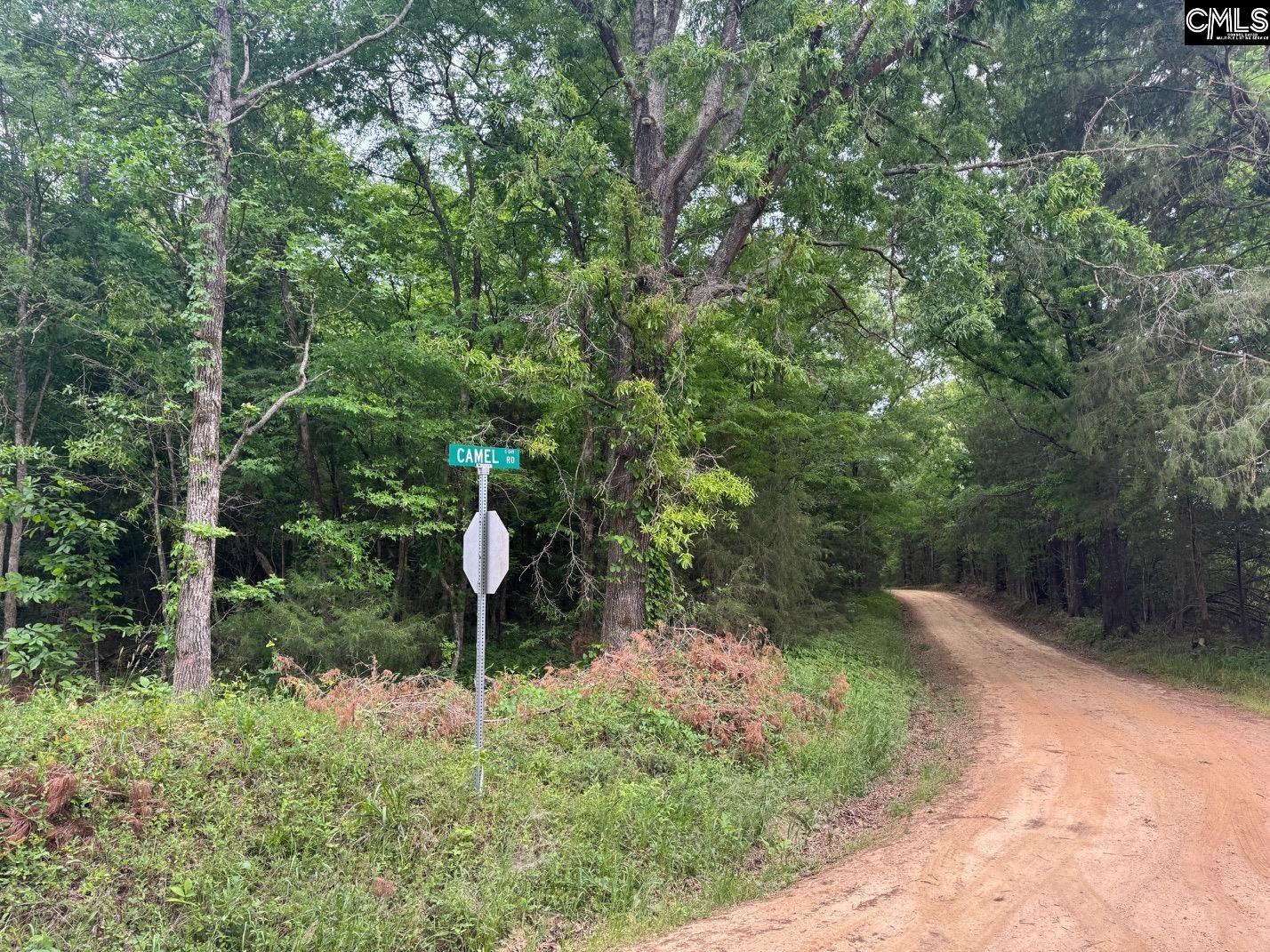 0 Sumpter Road Johnston, SC 29832 - Photo 5 of 8