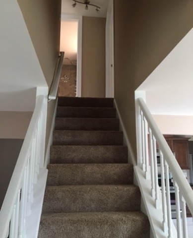 10725 Lyman Avenue Chicago Ridge, IL 60415 - Photo 18 of 23