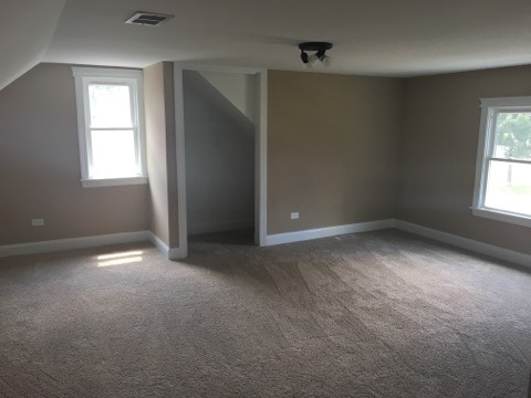10725 Lyman Avenue Chicago Ridge, IL 60415 - Photo 22 of 23