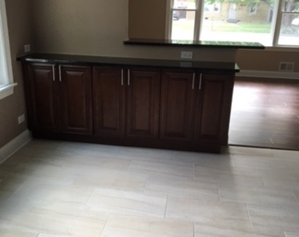 10725 Lyman Avenue Chicago Ridge, IL 60415 - Photo 8 of 23