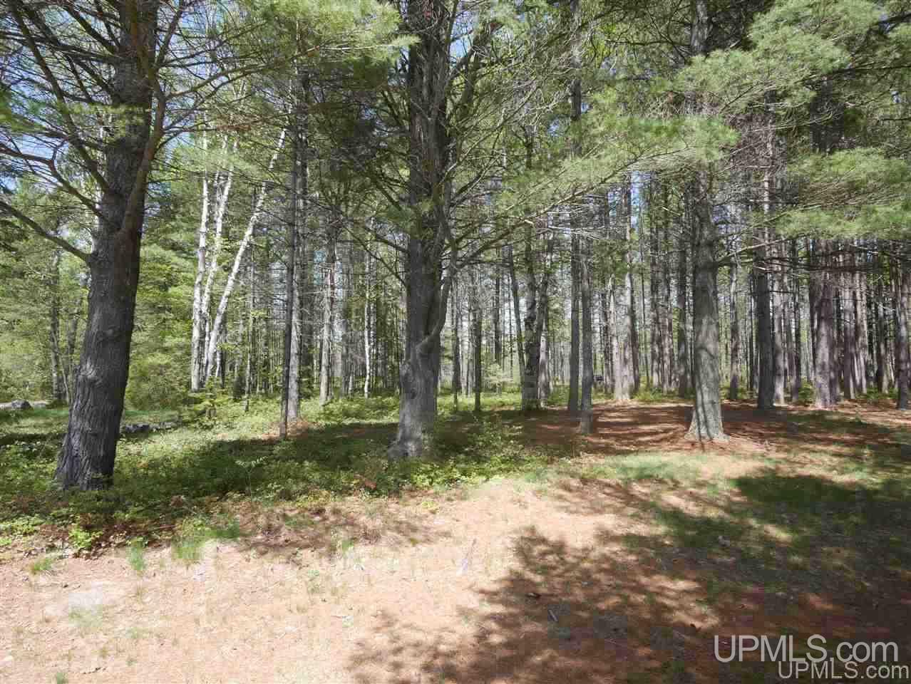 33985 Rice Landing Rd Lake Lake Linden, MI 49945 - Photo 23 of 30