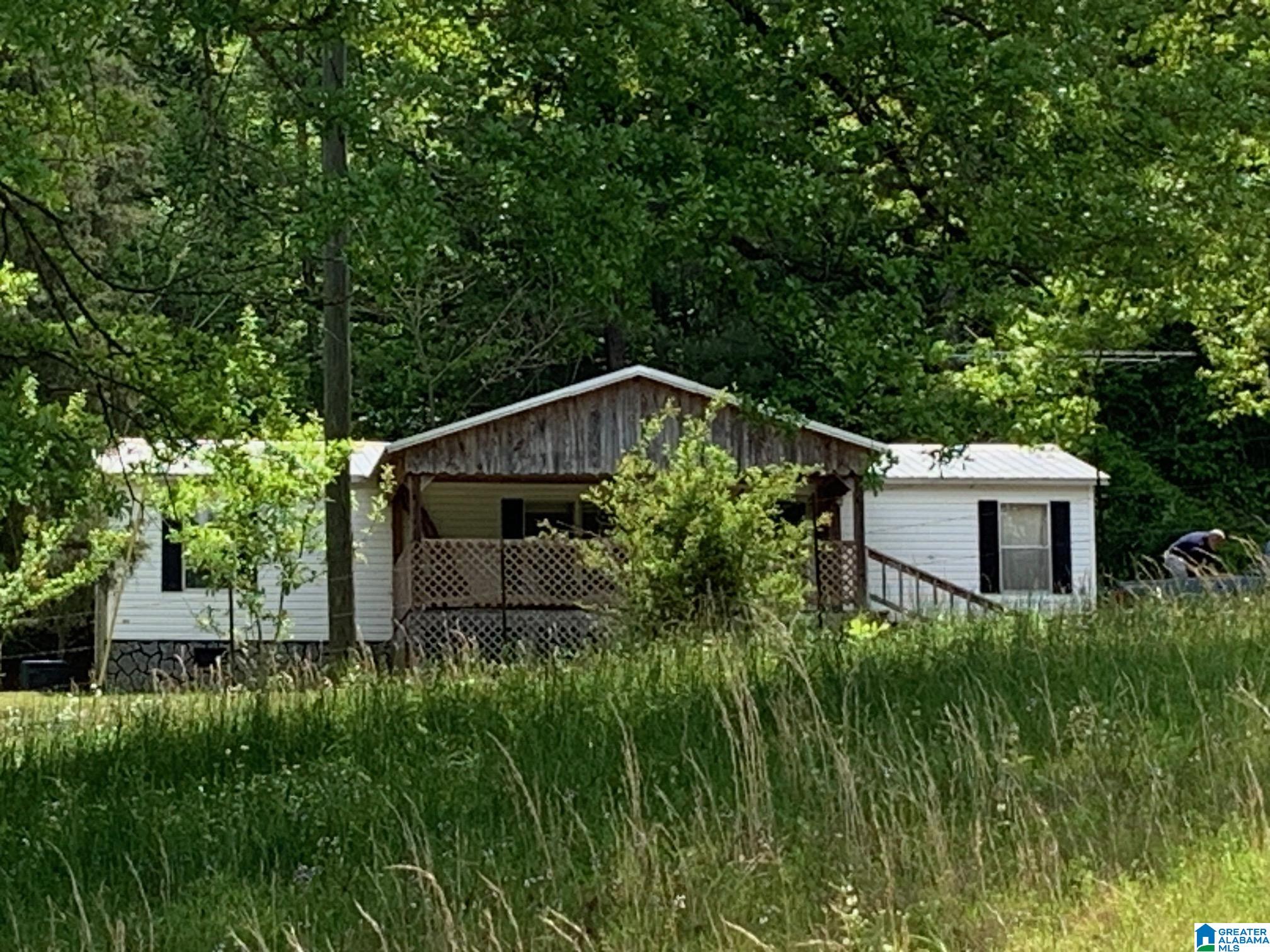 167 Waid Road Oneonta, AL 35121 - Photo 1 of 22