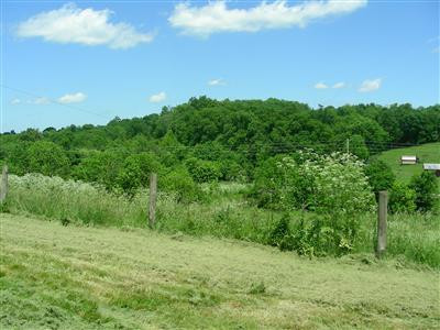 1710 Headquarters Road Carlisle, KY 40311 - Photo 6 of 12 Panoramic View #3 from front of house