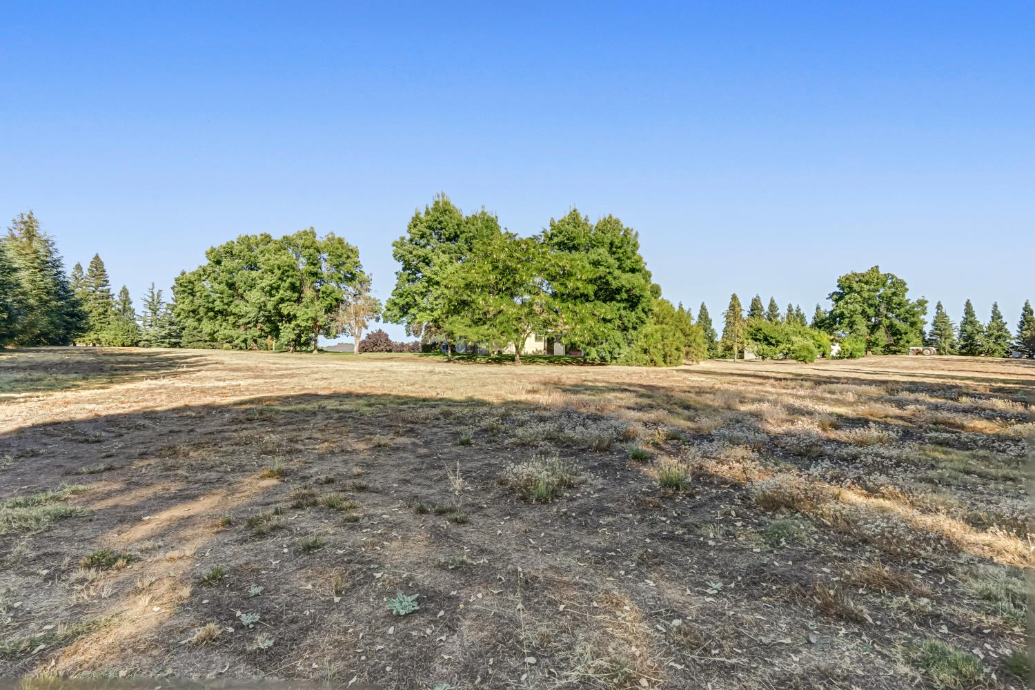 12040 Green Road South, Unit SOUTH Wilton, CA 95693 - Photo 57 of 74