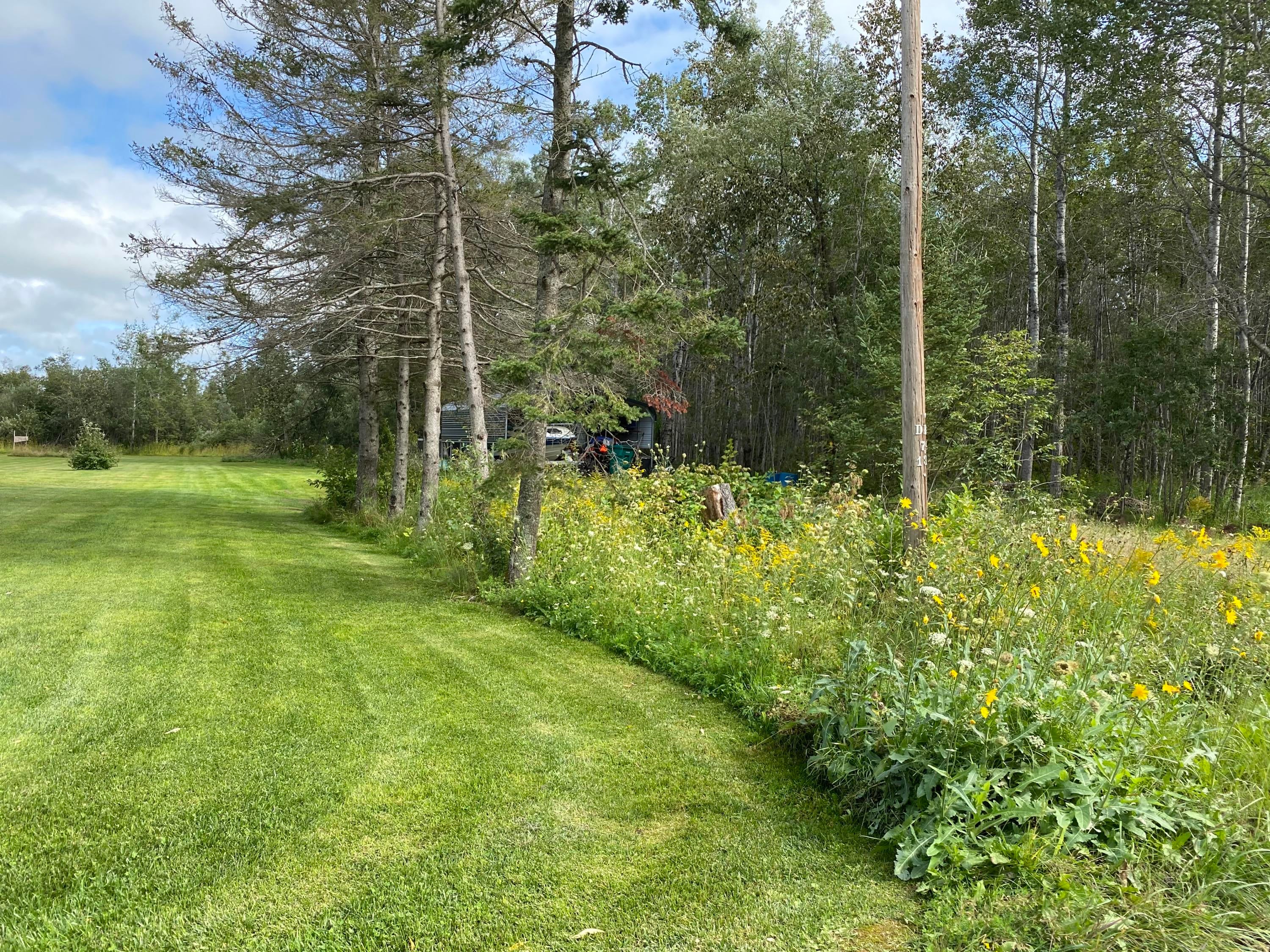 8147 South Forrest Side Road Brimley, MI 49715 - Photo 6 of 33 Gallery Image 6