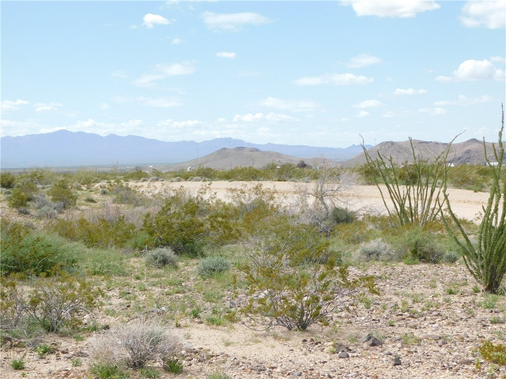 Lot 182 South Apache Road Yucca, AZ 86438 - Photo 2 of 19 View