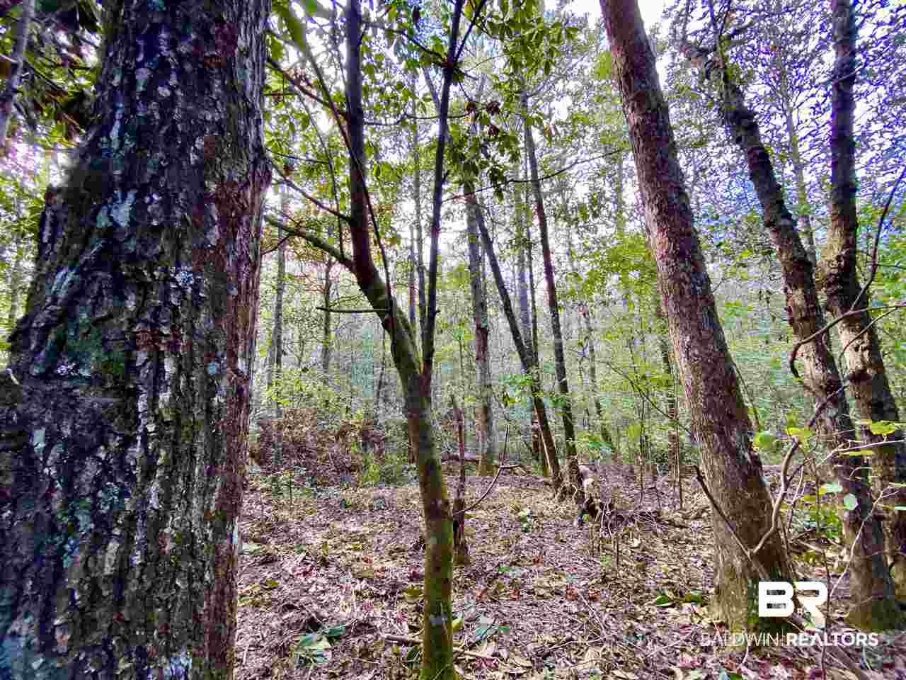 0 Maureen Circle Daphne, AL 36527 - Photo 8 of 26