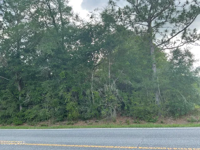 $165,000 | 0 Lakepoint Road, Alford, FL 32420