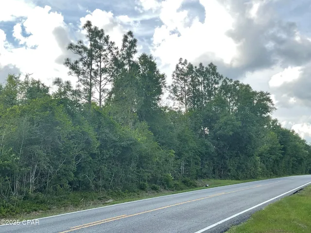 $165,000 | 0 Lakepoint Road, Alford, FL 32420