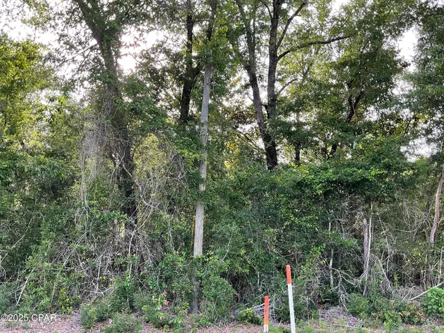 $165,000 | 0 Lakepoint Road, Alford, FL 32420
