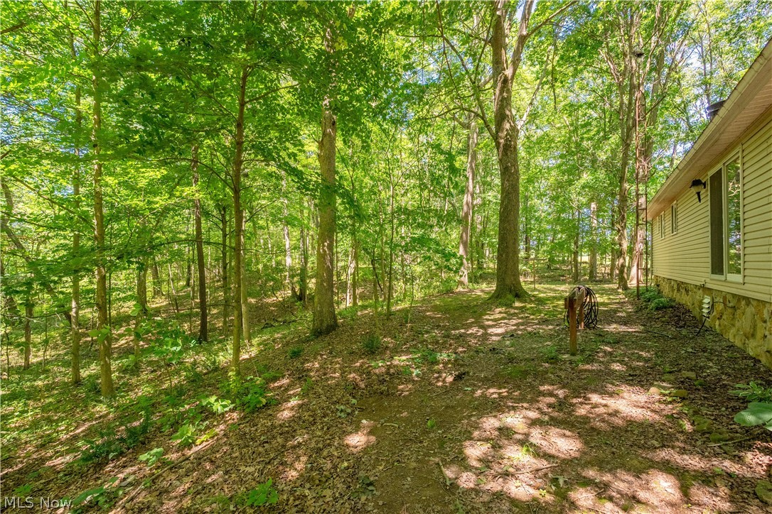 121 Skeleton Road Northwest Dellroy, OH 44620 - Photo 26 of 32