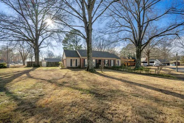a view of street with trees covered with snow