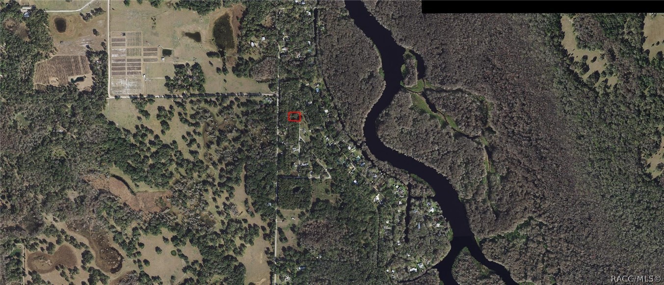 384 North Staff Point Inverness, FL 34450 - Photo 2 of 13