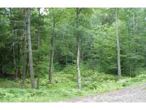 175 Hall Road Barrington, NH 03825 - Photo 1 of 2