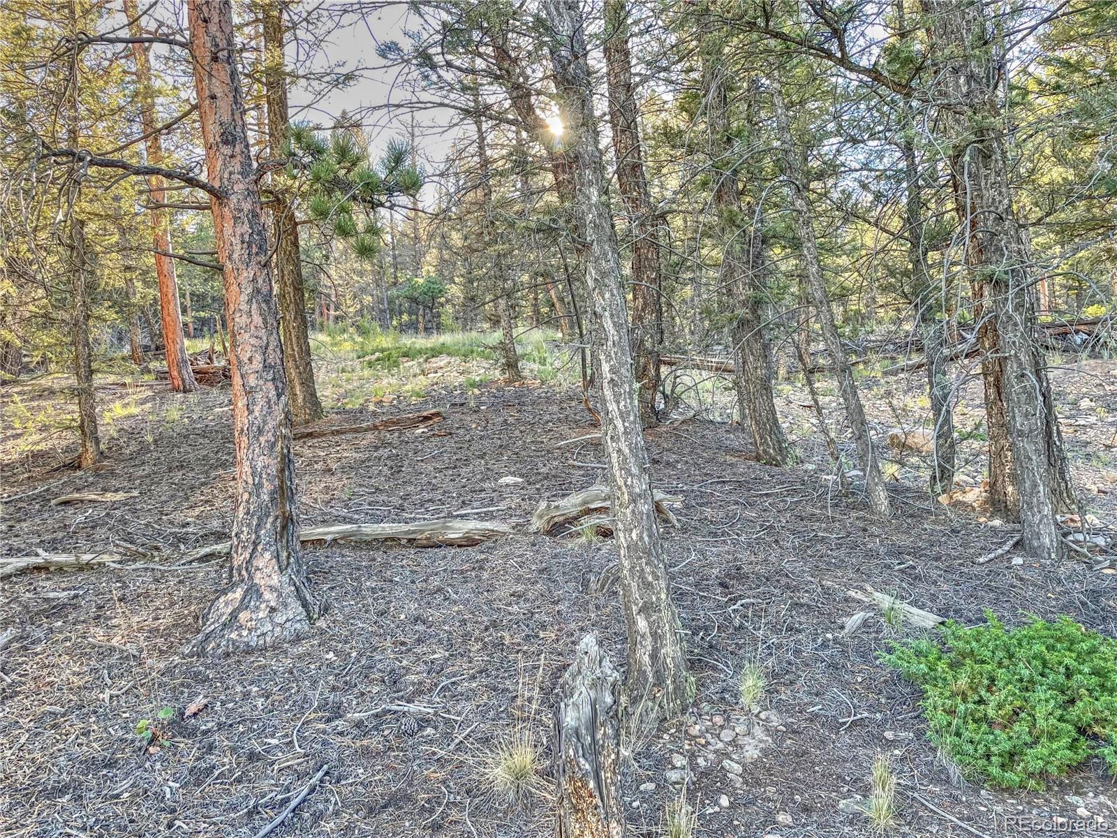 2359 Redhill Road Fairplay, CO 80440 - Photo 12 of 27 Gallery Image 12