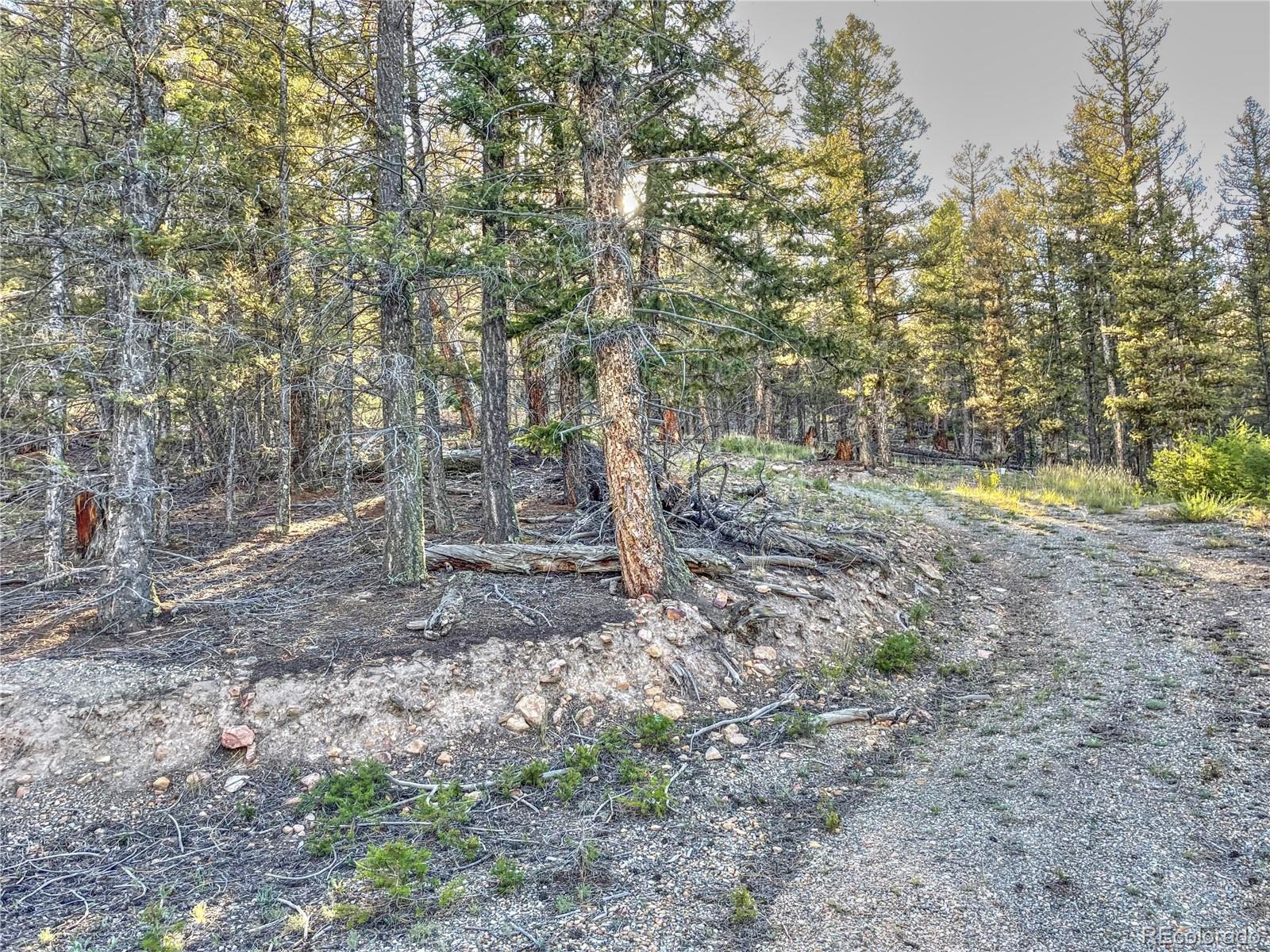 2359 Redhill Road Fairplay, CO 80440 - Photo 17 of 27 Gallery Image 17