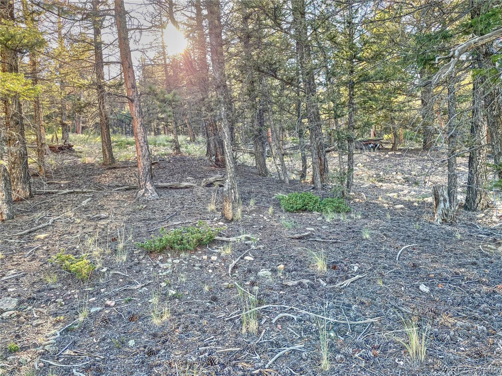 2359 Redhill Road Fairplay, CO 80440 - Photo 9 of 27 Gallery Image 9