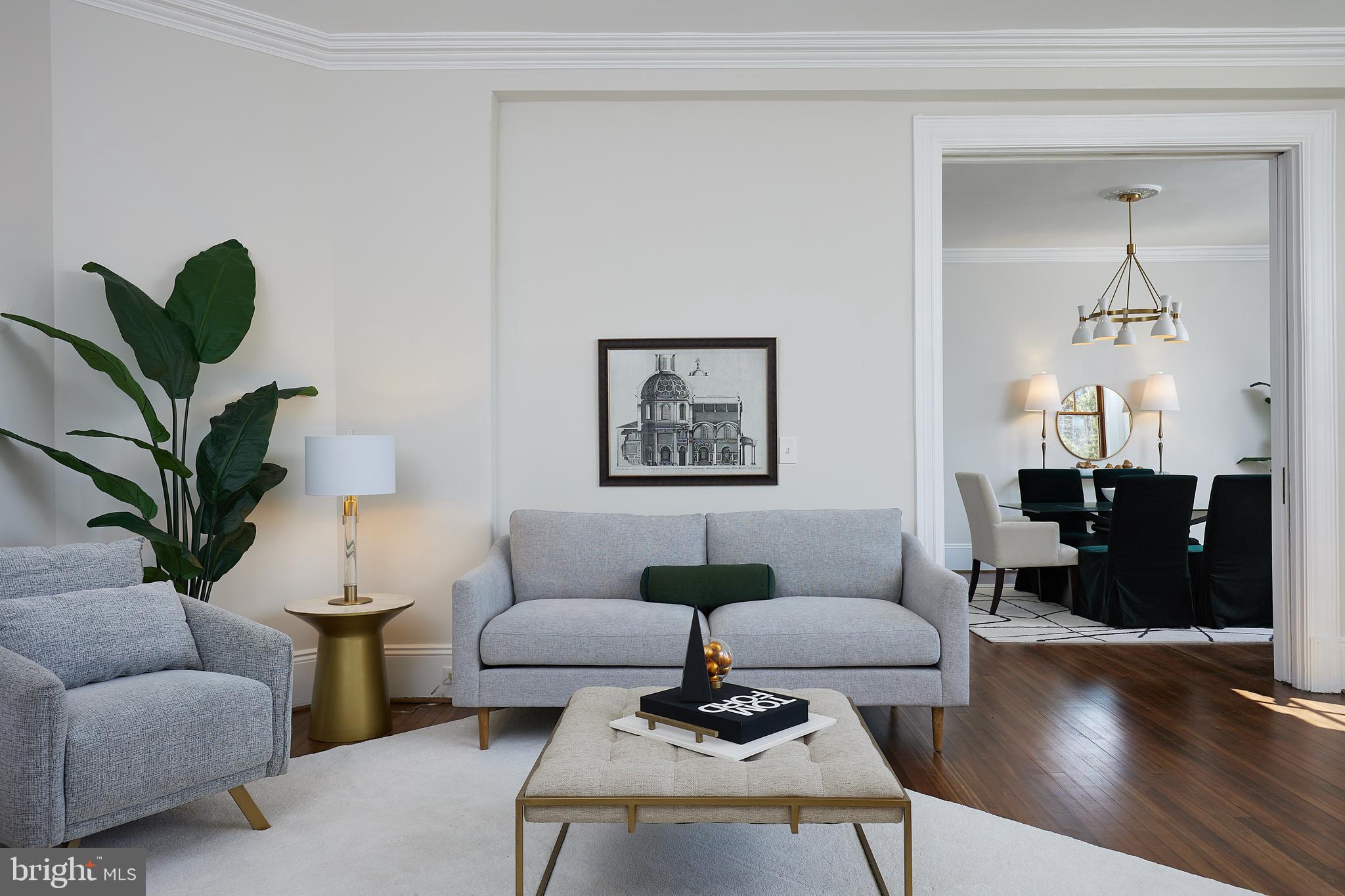2853 Ontario Road Northwest, Unit 323 Washington, DC 20009 - Photo 21 of 66 a living room with furniture potted plant and a lamp