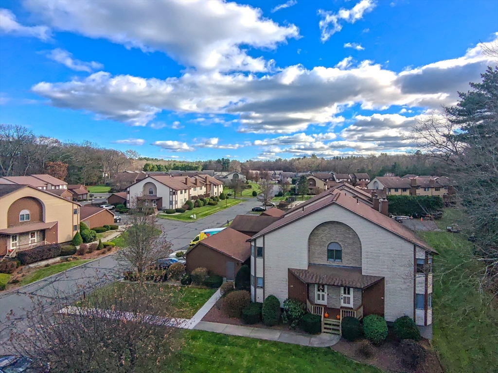a view of a house with a big yard plants and large tree