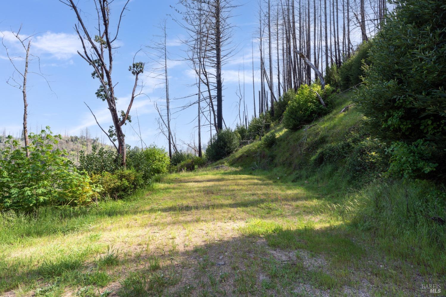 1111 Los Alamos Road Santa Rosa, CA 95409 - Photo 12 of 25 a view of yard with green space