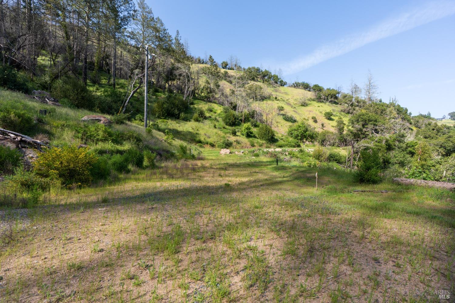1111 Los Alamos Road Santa Rosa, CA 95409 - Photo 14 of 25 a view of a yard with a tree