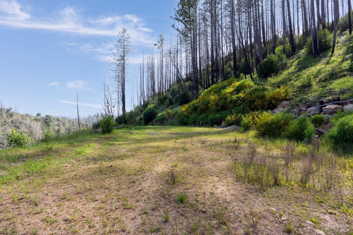 1111 Los Alamos Road Santa Rosa, CA 95409 - Photo 15 of 25 a view of a garden