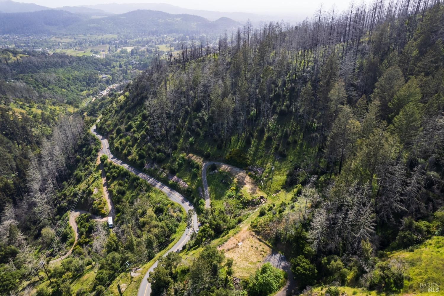 1111 Los Alamos Road Santa Rosa, CA 95409 - Photo 3 of 25 a view of a forest with a lush green forest