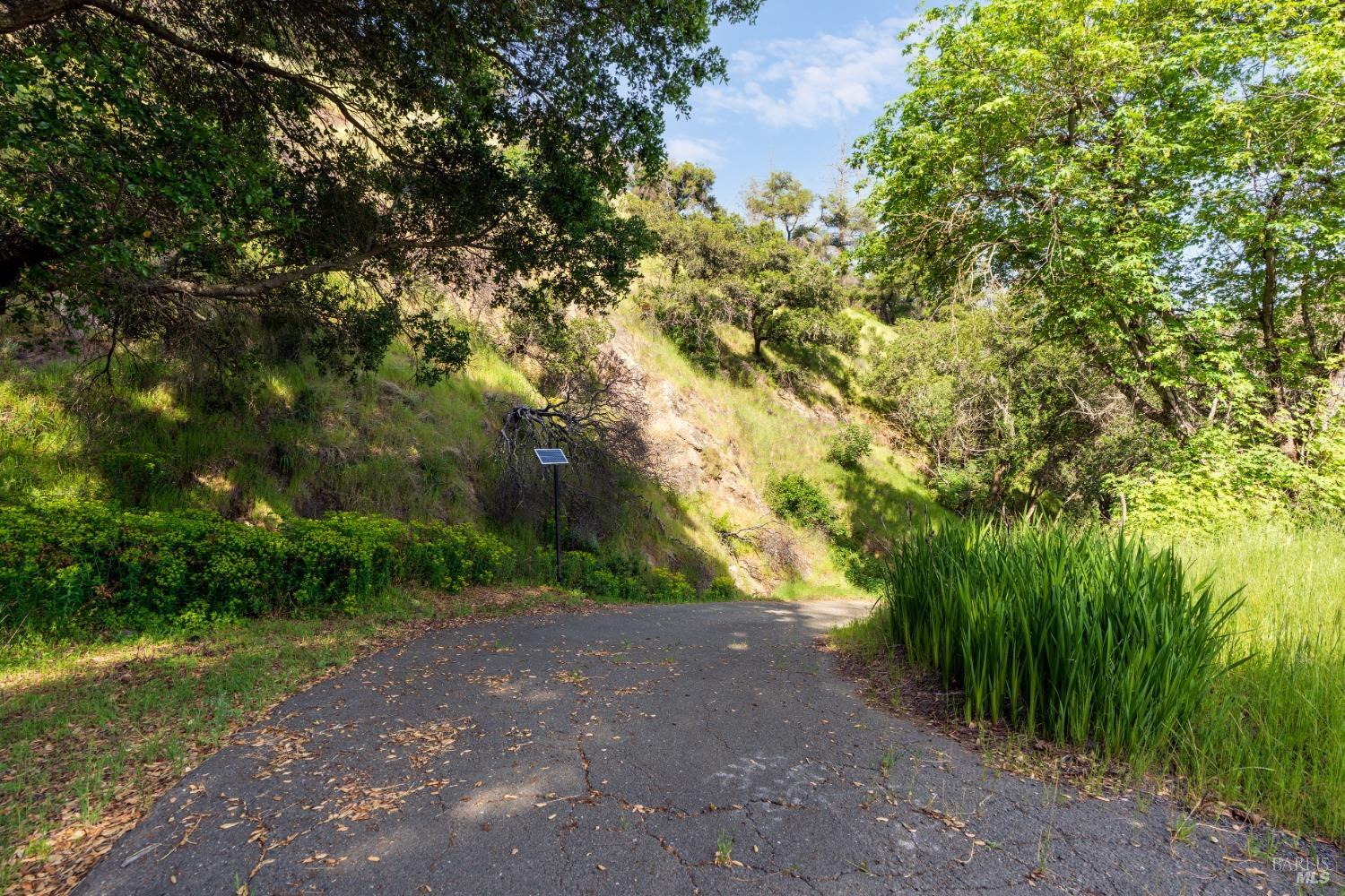 1111 Los Alamos Road Santa Rosa, CA 95409 - Photo 7 of 25 a view of a yard with plants and a large trees