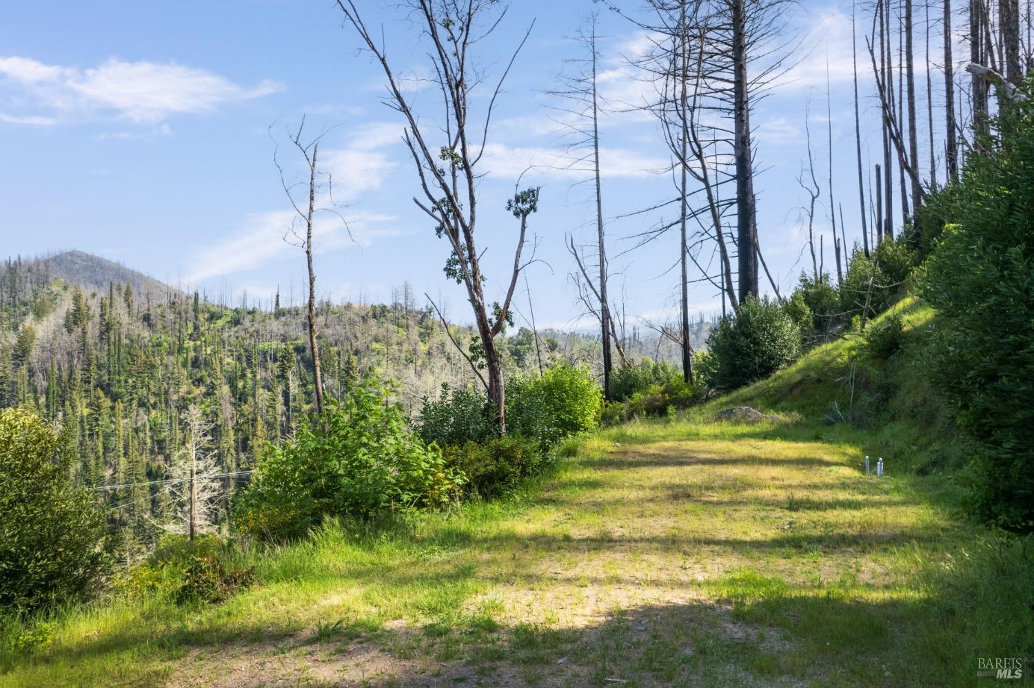 1111 Los Alamos Road Santa Rosa, CA 95409 - Photo 10 of 25 a view of a grassy area with an trees
