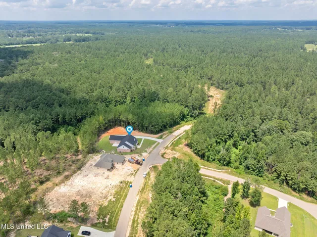 $549,900 | 53 Pipestone Pass, Sumrall, MS 39482