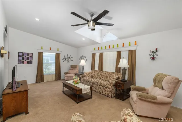 a living room with furniture ceiling fan and a rug