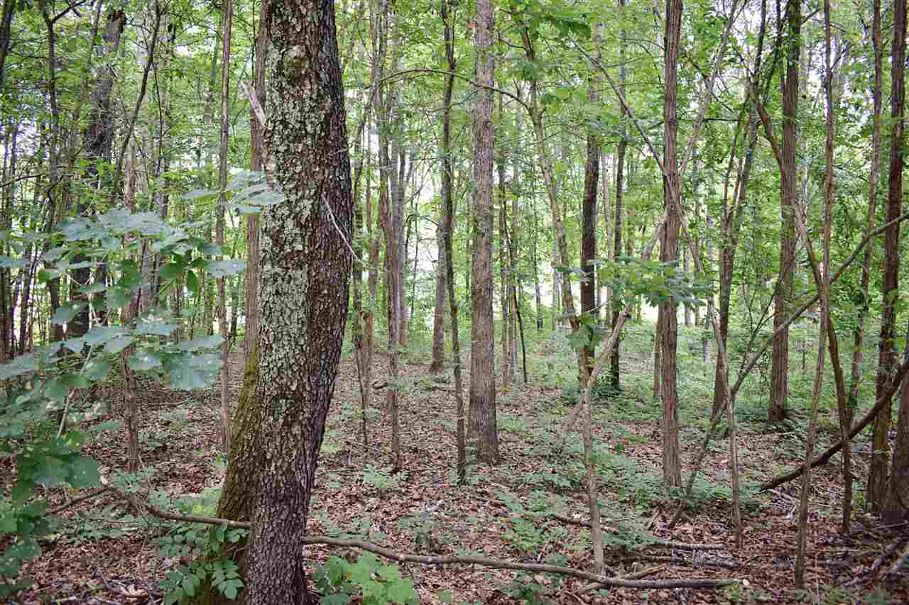 0 Chestnut Road Landrum, SC 29356 - Photo 3 of 13