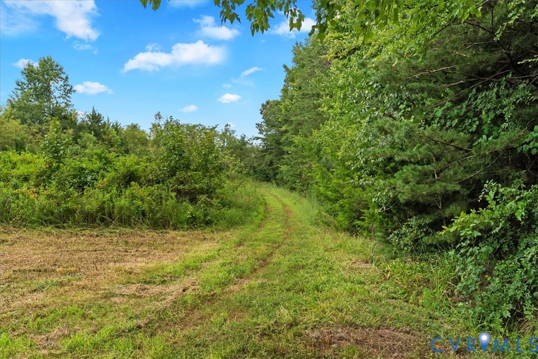 610 Lockett Road Rice, VA 23966 - Photo 59 of 79 Gallery Image 59