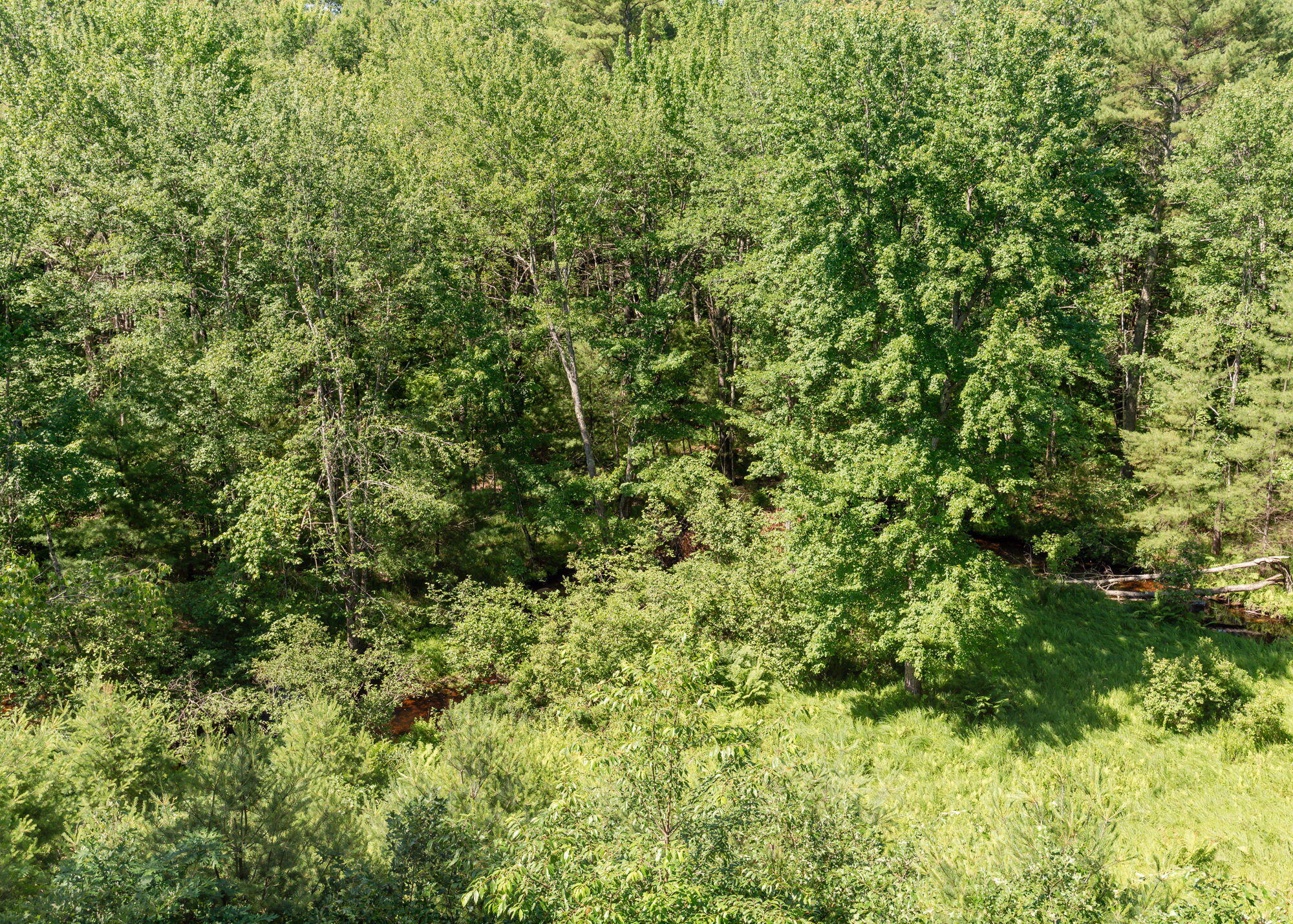 103 Hard Scrabble Road Hollis Center, ME 04042 - Photo 26 of 77 103HardScarbbleRd-Hollis-27