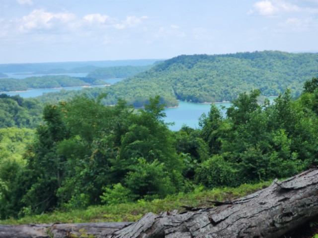 0 Rock Fish Road East Celina, TN 38551 - Photo 3 of 27