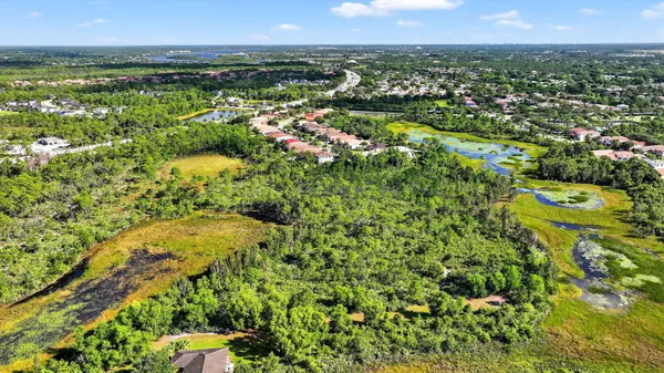 a view of a city with lush green forest