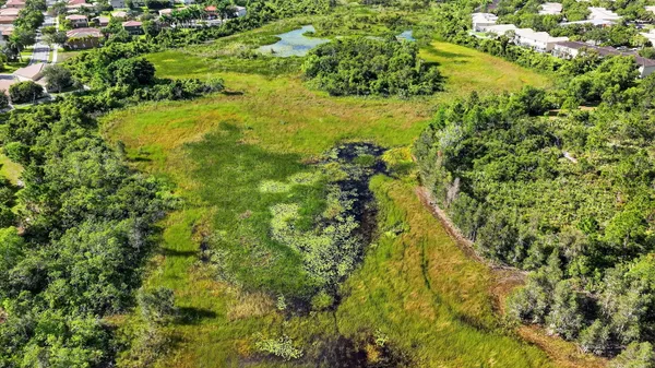 a view of a lush green field