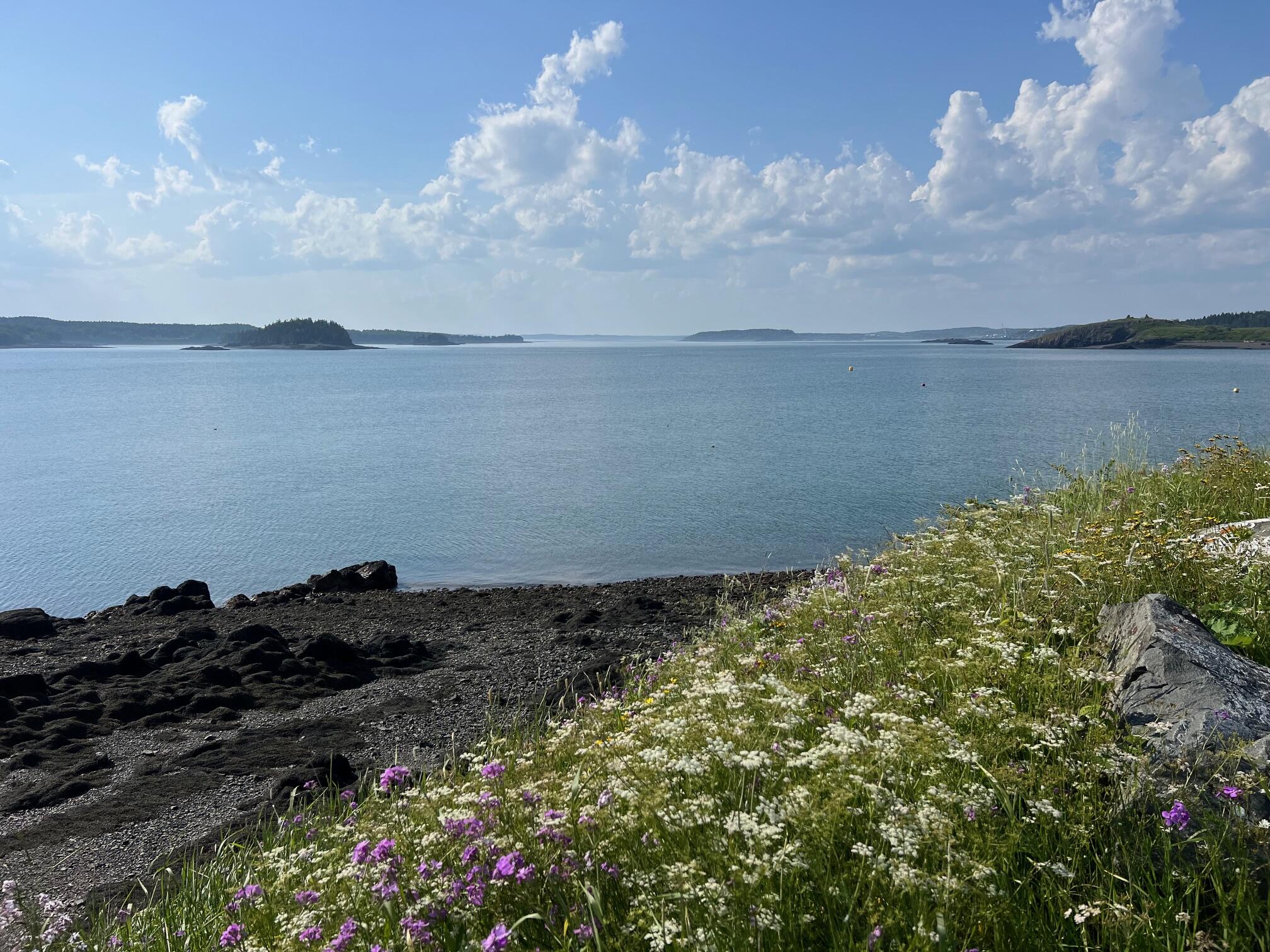 15 Map Street Lubec, ME 04652 - Photo 2 of 15 2