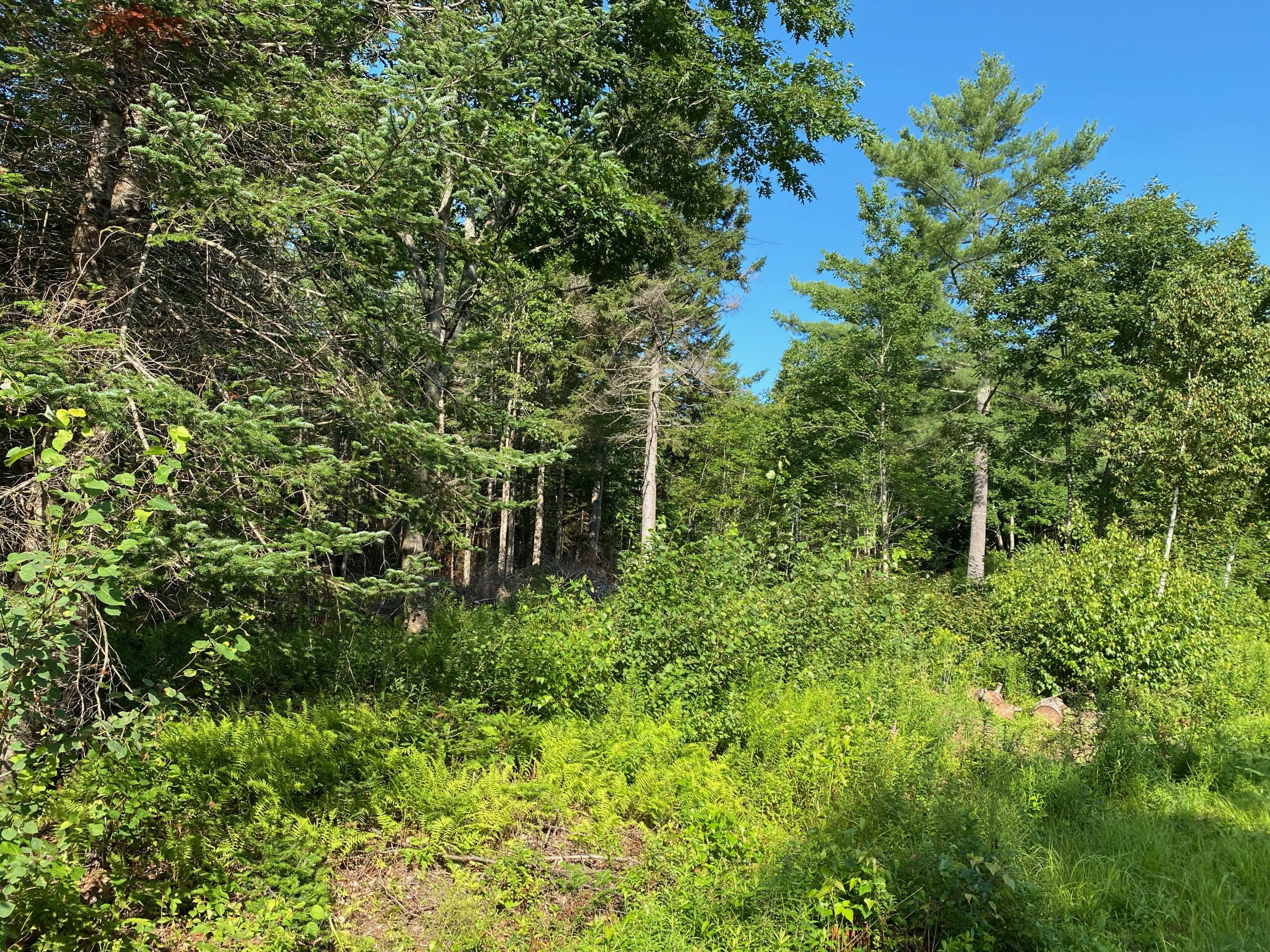 2122 Union Road Waldoboro, ME 04572 - Photo 21 of 21 IMG_3100