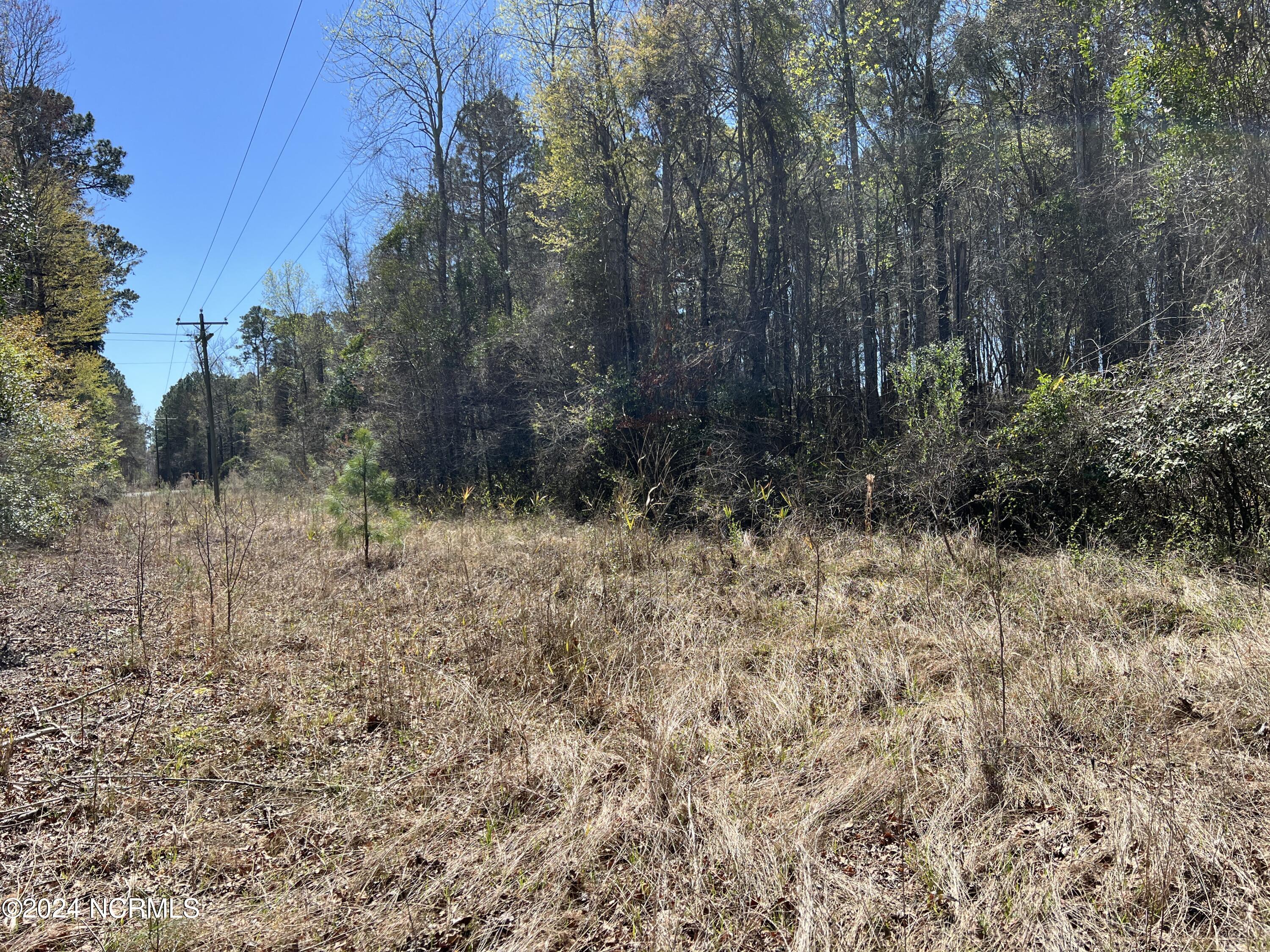 Lot #0 Sr 1736 Road Bath, NC 27808 - Photo 9 of 13 IMG_2699